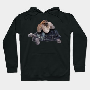 Sloth Lying on Turtle, Funny Lazy Animals Hoodie